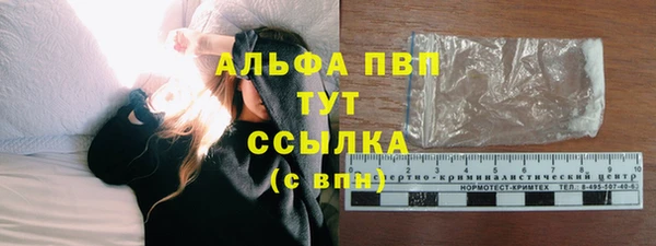 гашиш Богданович