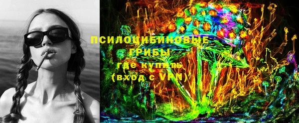 гашиш Богданович