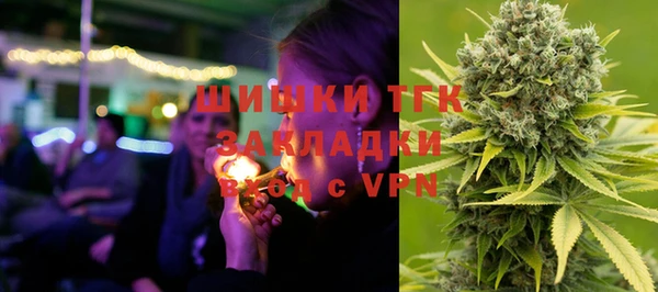 гашиш Богданович