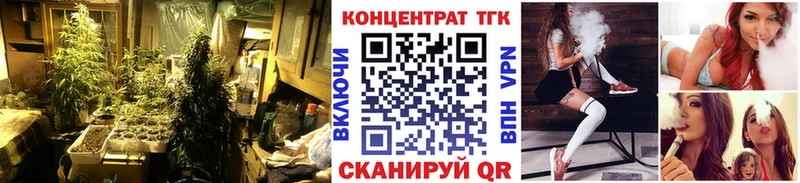 ТГК Wax  Княгинино 