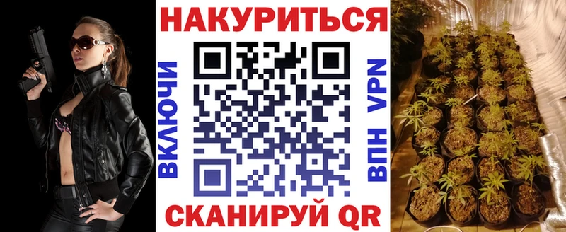 где купить   Княгинино  Конопля семена 